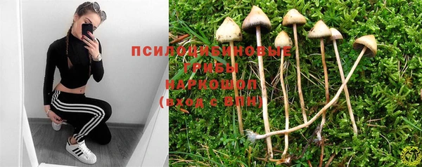 дживик Балахна