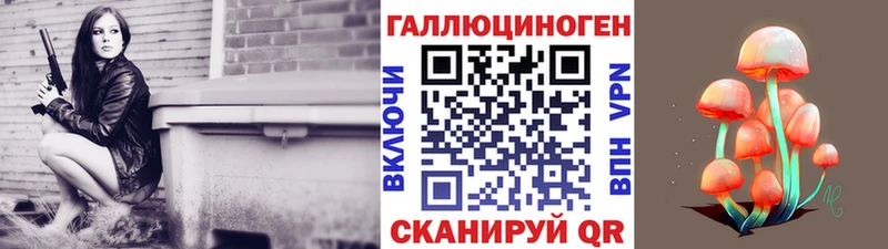 Галлюциногенные грибы Cubensis  Купить закладки  Торопец 