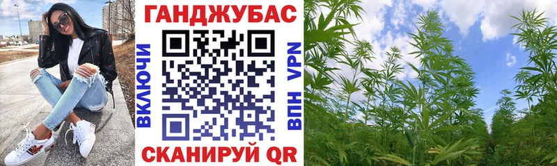 Купить  Торопец  Канабис гибрид 